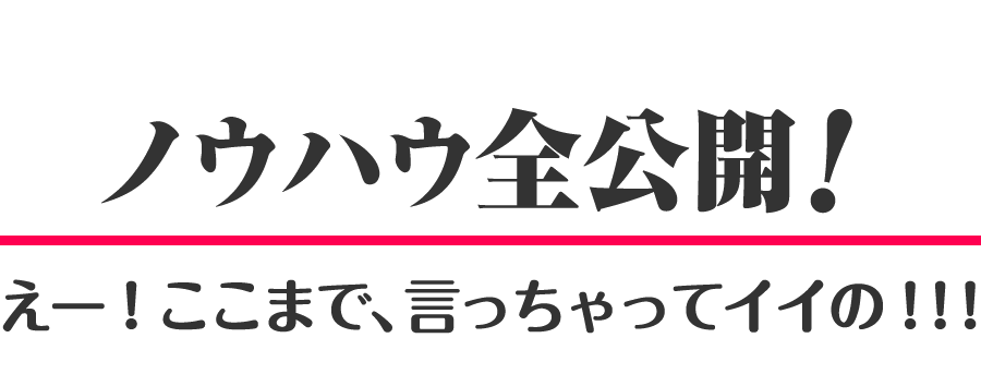 ノウハウ全公開